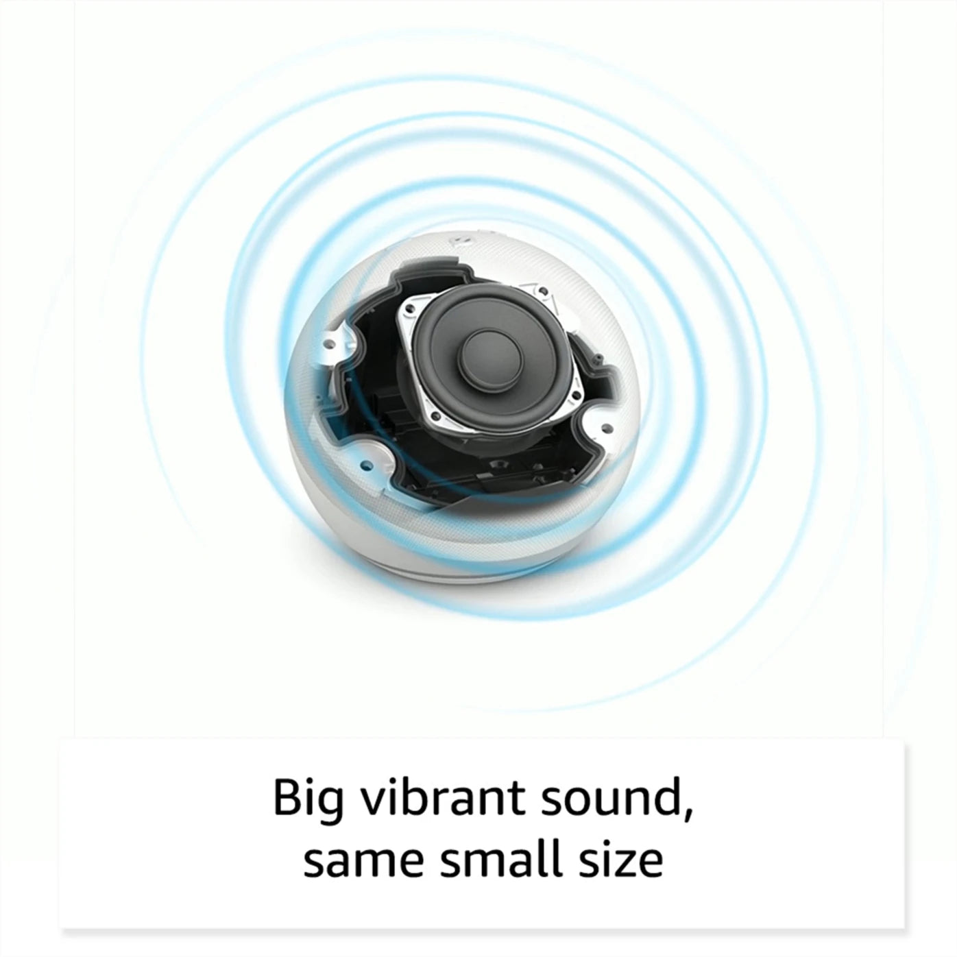 Alexa Echo Dot (5th Gen)| Bluetooth with Alexa Assistant Smart Speaker (Black) - CarrotKart | India's first Open Box ecommerce platform